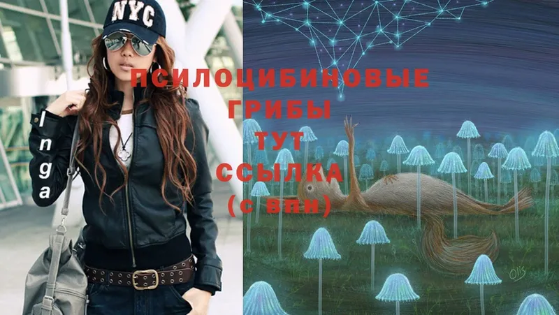 Псилоцибиновые грибы MAGIC MUSHROOMS  ОМГ ОМГ ONION  Завитинск 